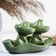 Set for spices "Frog"
