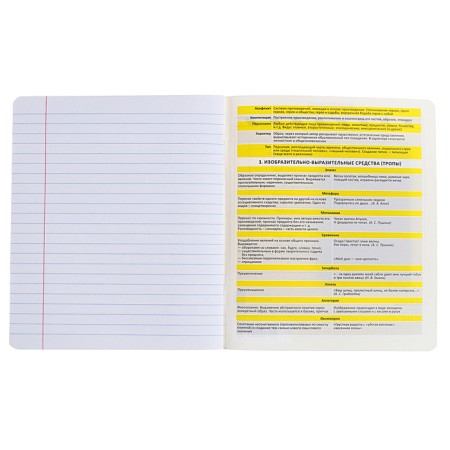 Subject notebook, 48 sheets, ruler, literature, Erichkrause "BENFORMED", plastic cover silk-screen cover, Bloc OFSET BELICE 100%, information block-5