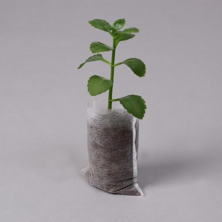 Package for seedlings, 250 ml, 5.7 × 9 cm, spanbond density 25 g/m², Greengo-1