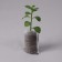 Package for seedlings, 250 ml, 5.7 × 9 cm, spanbond density 25 g/m², Greengo