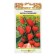 Strawberry seeds "Baron Solmacher", 0.05 g