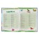 Encyclopedia with developing tasks A5 "Sights of Russia"
