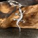 Amulet-cranes, Totem "Salamander" No. 05, Metal