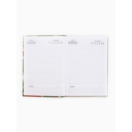 Diary and thermostatic "Let the dreams come true!"-2