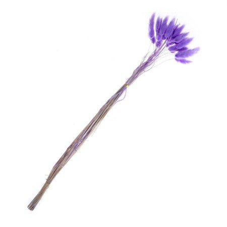 Dry-flowers "Lagurus", set of 30 pcs., The color is light purple-2
