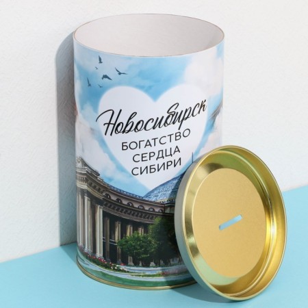 Копилка XXL «Новосибирск», 20 х 12,5 см-3