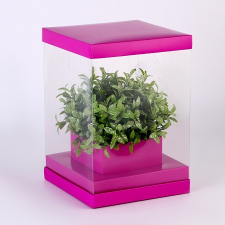 Box for flowers with a vase and PVC windows are folding, 16 x 23 x 16 cm, plain, lavender