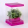 Box for flowers with a vase and PVC windows are folding, 16 x 23 x 16 cm, plain, lavender