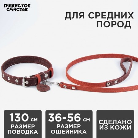 Set: collar (36-56x2.5 cm) and leash (130x1.5 cm), brown and cognac