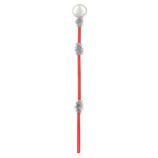 Carnival staff 