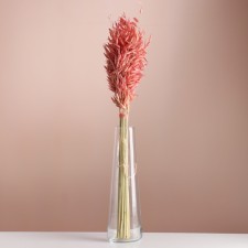 Set of dried flowers 
