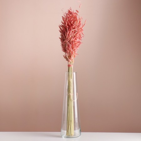 Set of dried flowers "oats", banch length 55-65 (+/- 6 cm), peach