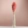 Set of dried flowers "oats", banch length 55-65 (+/- 6 cm), peach