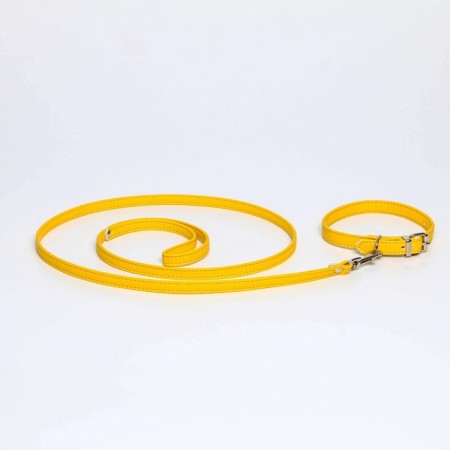 Set of collar (26-34x1.4 cm) and leash (120x1 cm) from eco-leather, yellow-2