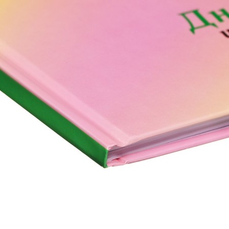 Diary solid cover 1-11 grade 48 sheets, "cat-butterfly2", cardboard cover 7BC, glossy lamination, cheat sheet-2