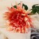 Artificial flowers "Pionovid Astra" 17x63 cm, orange