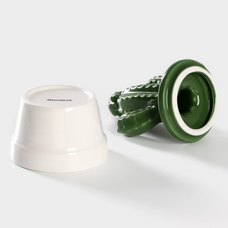 Ceramic Bank for spices of the Cactus, 150 ml, 8 × 8 × 14 cm-2