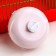 Wheel for rodents are quiet, 14 cm, pink