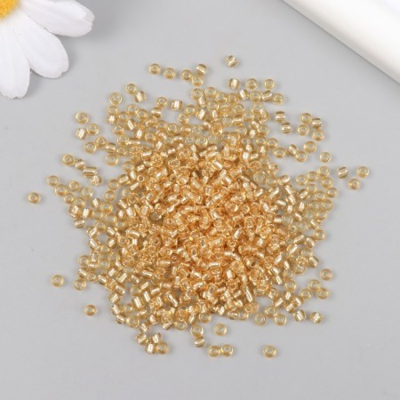 Glass 8/0 "Light Gold" 450 gr-1