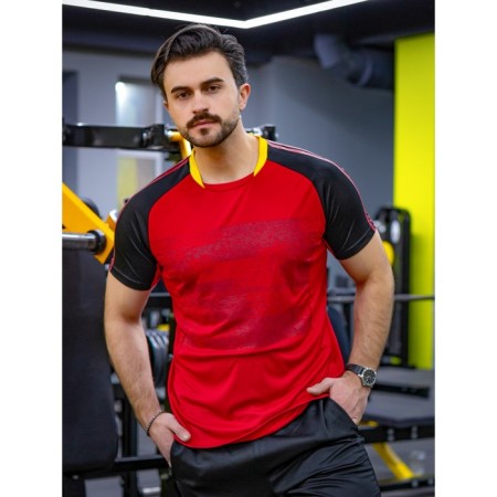 Sports T -shirt male ise, size 46, red color