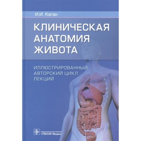 Clinical abdominal anatomy. Illustrated copyright cycle of lectures. Kagan I.