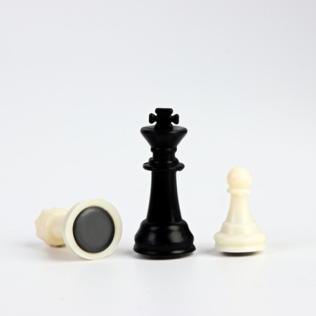 Chess "Lambert", magnetic, 19 x 19 cm-2