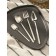 A set of cutlery of stainless steel Magistro Wave, 4 objects, silver color