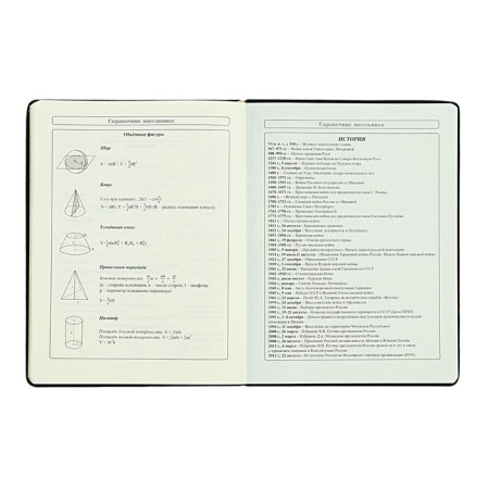 Diary 1-11 Grade "Kisul Vasily", artificial leather, foam, foil embossing, 48 sheets-12