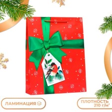 Gift Green Banting Package, 33 x 42.5 x 10 cm