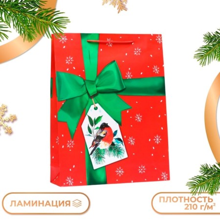 Gift Green Banting Package, 33 x 42.5 x 10 cm
