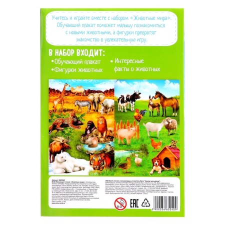 Training set "Funny Animals": animals and poster, according to the Montessori methodology-7