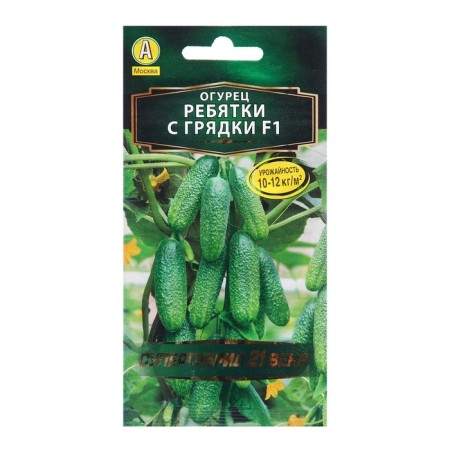 Seeds Cucumber children from the beds F1 op. And the bee c/n 10pcs