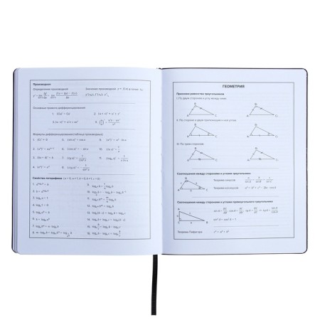 Universal Diary Grade 1-11, 48 sheets "graffitist", covering of artificial leather, liesa, offset block-8