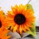 Artificial flowers "sunflower galant" 60 cm d-12 cm, orange