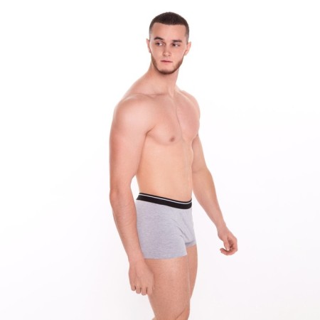 Panties men's boxers "lion", color gray melange, size 46-3