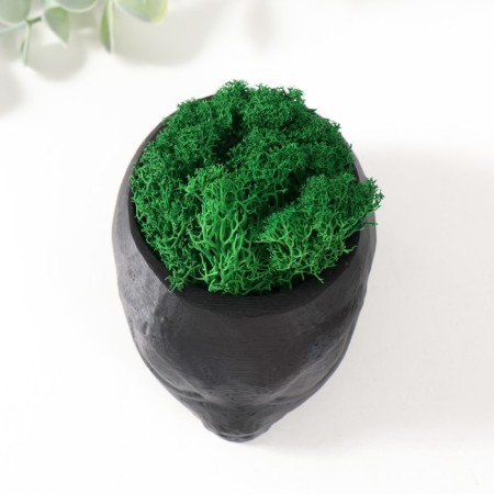 Kashpo concrete "alien" height 5 cm, d-6 cm black with moss (moss green. Stabilizir)-4