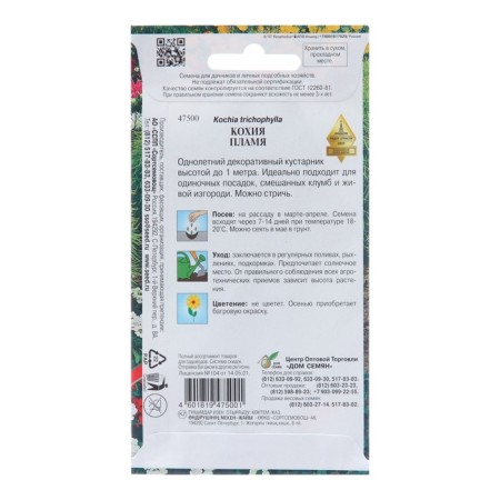 Cochia Flower Flower Seeds, 70 pcs-1