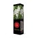 Ordinary Lilac "Mazaisis Principle" 1 pc, tube, spring 2025