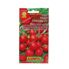 Seeds Tomat 