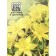 Aquilegia "Yellow Crystal", Cultural * 0.05 g