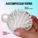 Brush - head washing massage, 8.5 × 6.8 × 3.6 cm, white color