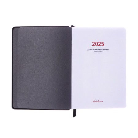 Dated diary 2025, A6+, 176 sheets "Lyon", solid cover, pancake embossing, with liesa, block 80 g/m2, black-3
