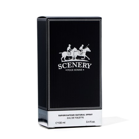 Male toilet water SCENERY, 100 ml-2