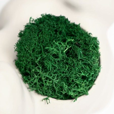 Kashpo concrete "ass with ears" with moss 8*10cm white (moss green stabilized)-4