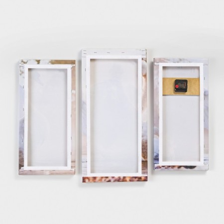 Carty clock is wall, modular, "white swan on a pond", silent, 60 x 80 cm, triptych-2