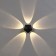 Facade lamp “Iskra”, FSD-052, 5 W, 3000k, 5 rays, IP65, 220 V, plastic, black