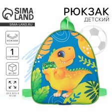 Baby backpack for the boy 