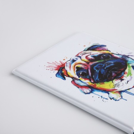 Cover for passport, white color-3