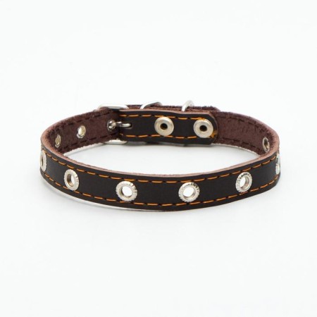 Single-layer leather collar with corrugated eyelets, dimensionless, 40 x 1.5 cm, Osh 27-35 cm, brown700-1