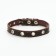 Single-layer leather collar with corrugated eyelets, dimensionless, 40 x 1.5 cm, Osh 27-35 cm, brown700